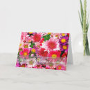 Search for aster cards Flower