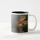 Search for guyana mugs River