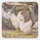 Search for vintage rooster stickers Farm