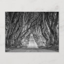 Search for antrim postcards Ireland