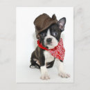 Search for affectionate postcards Animal