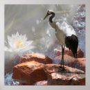 Search for japanese crane posters Cranes