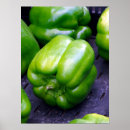Search for bell pepper art Green