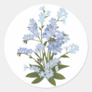 Search for forget me not flower stickers Blue