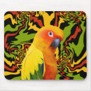 Search for conure mousepads Tropical
