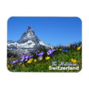 Search for souvenir magnets Alps