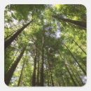 Search for redwood forest stickers Tree