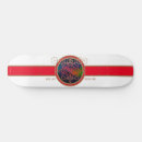 Search for auroras skateboards Northern lights