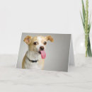 Search for rude cards Cute