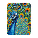 Search for peacock rectangular magnets Birds