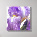 Search for celebrate spring art Birthday
