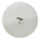 Search for bird knobs and pulls Coastal