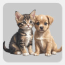 Search for kitten and puppy stickers Cat