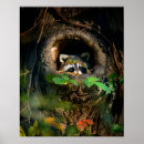 Search for racoon posters Autumn