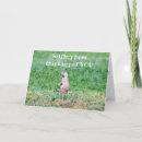 Search for thinking of you sister cards Photography