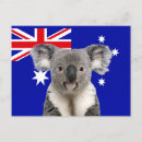 Search for australian koala postcards Cute animals