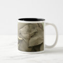 Search for asiatic elephant mugs Endangered