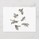 Search for bee drawing postcards Bees