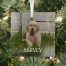 Search for dog photo christmas tree decorations Create your own