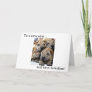 Search for new dog cards Old