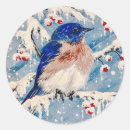 Search for bluebirds stickers Snow