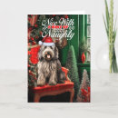 Search for shepherd christmas cards Pets