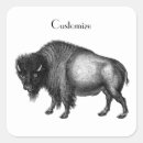 Search for buffalo bison stickers Bovine