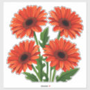 Search for red gerbera labels Bouquet