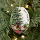 Search for boxer dog christmas tree decorations Animal