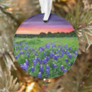Search for texas bluebonnet christmas tree decorations Rural scene