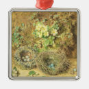Search for birds nest christmas tree decorations Nature