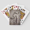 Search for fence playing cards Animal