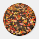 Search for bright landscape magnets Autumn