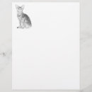 Search for abys Abyssinian cat