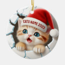 Search for hat christmas tree decorations Animal