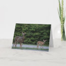 Search for doe cards Fawn