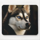 Search for malamute mousepads Animal