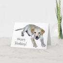 Search for elvis cards Dog