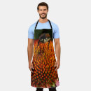 Search for bug aprons Nature