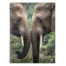 Search for elephant notebooks Wildlife