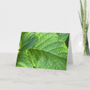 Search for hydrangea note cards Blank