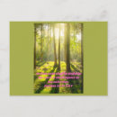 Search for bible quotes postcards Peace