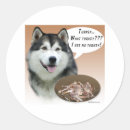Search for malamute stickers Dog