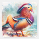 Search for colorful bird stickers Wildlife