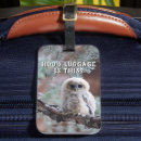 Search for hoo Nature
