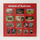 Search for australian birds puzzles Wildlife