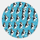 Search for snow penguin stickers Wildlife