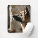 Search for alsatian White