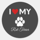 Search for rat terriers stickers Puppy