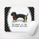 Search for spoiled rotten Dachshund